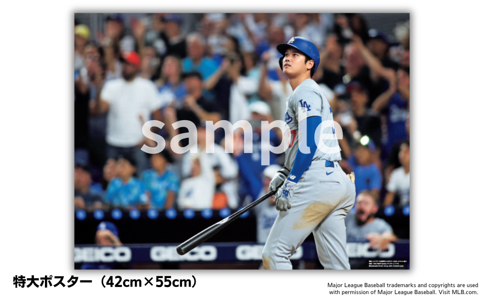 2025_otani_sub2.png