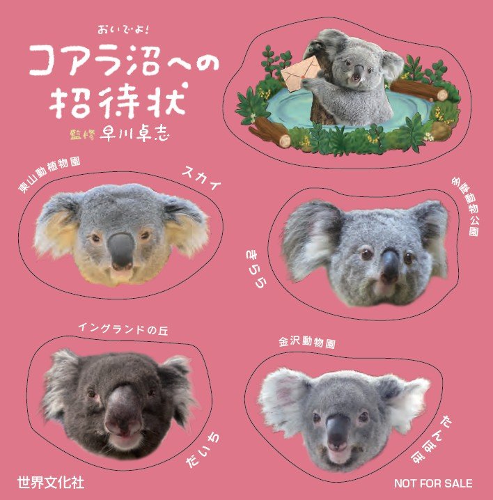 スクリーンショット 2026-03-02 151550.jpg