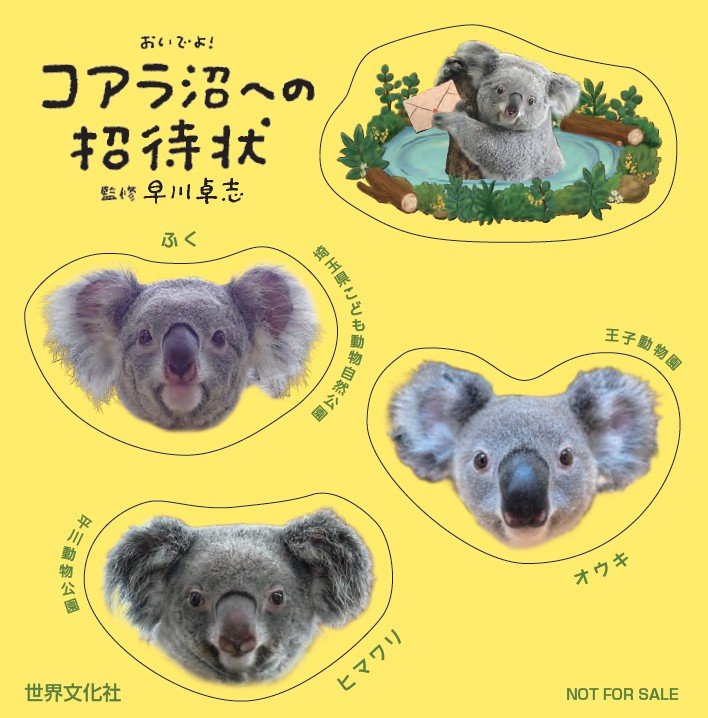 スクリーンショット 2026-03-02 151526.jpg